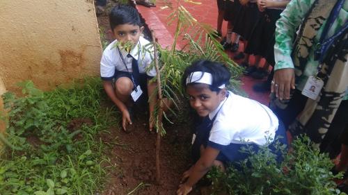 Tree Plantation Drive (2)