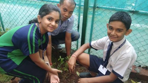 Tree Plantation Drive (5)