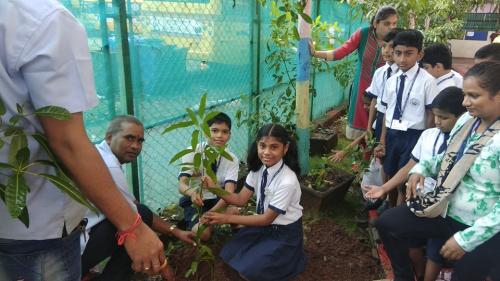 Tree Plantation Drive (6)