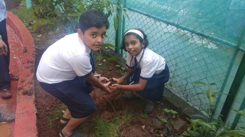 Tree Plantation Drive (8)